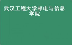武汉工程大学邮电与信息学院(民办二本高校9人创新团队人均年薪14万()）
