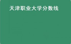 天津职业大学分数线（天津职业大学分数线2021春季高考）